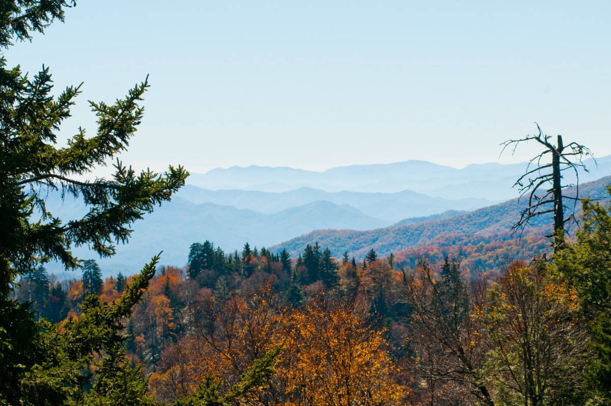 a view of mountains and trees